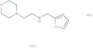 (Furan-2-ylmethyl)[2-(morpholin-4-yl)ethyl]amine dihydrochloride