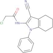 2-Chloro-N-(3-cyano-1-phenyl-4,5,6,7-tetrahydro-1H-indol-2-yl)acetamide