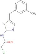 2-Chloro-N-{5-[(3-methylphenyl)methyl]-1,3-thiazol-2-yl}acetamide