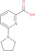 6-(Pyrrolidin-1-yl)pyridine-2-carboxylic acid