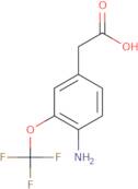 tert-Butyl N-(3-oxo-1,2-oxazinan-4-yl)carbamate