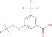 3-(2,2,2-Trifluoroethoxy)-5-(trifluoromethyl)benzoic acid