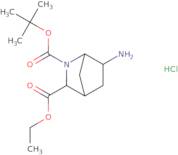 rac-2-tert-Butyl 3-ethyl (1R,3R,4R,6S)-6-amino-2-azabicyclo[2.2.1]heptane-2,3-dicarboxylate hydrochloride