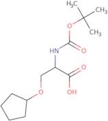 (2S)-2-{[(tert-Butoxy)carbonyl]amino}-3-(cyclopentyloxy)propanoic acid