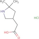 2-(5,5-Dimethylpyrrolidin-3-yl)acetic acid hydrochloride