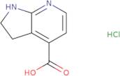 1H,2H,3H-Pyrrolo[2,3-b]pyridine-4-carboxylic acid hydrochloride