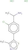 1-[2-Chloro-4-(4-methyl-1,3-thiazol-5-yl)phenyl]ethan-1-amine dihydrochloride