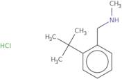 [(2-tert-Butylphenyl)methyl](methyl)amine hydrochloride