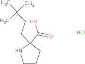 2-(3,3-Dimethylbutyl)pyrrolidine-2-carboxylic acid hydrochloride