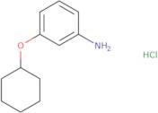 3-(Cyclohexyloxy)aniline hydrochloride