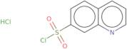 Quinoline-7-sulfonyl chloride hydrochloride