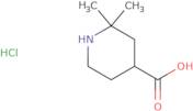 2,2-Dimethylpiperidine-4-carboxylic acid hydrochloride