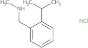 Methyl({[2-(propan-2-yl)phenyl]methyl})amine hydrochloride