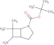 tert-Butyl 6-amino-7,7-dimethyl-2-azabicyclo[3.2.0]heptane-2-carboxylate