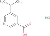 5-(Propan-2-yl)pyridine-3-carboxylic acid hydrochloride