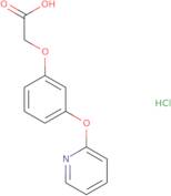 2-[3-(Pyridin-2-yloxy)phenoxy]acetic acid hydrochloride