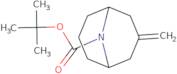 tert-Butyl 3-methylidene-9-azabicyclo[3.3.1]nonane-9-carboxylate