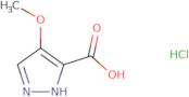 4-Methoxy-1H-pyrazole-3-carboxylic acid hydrochloride