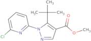 Methyl 5-tert-butyl-1-(6-chloropyridin-2-yl)pyrazole-4-carboxylate