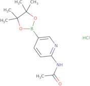 2-Acetamidopyridine-5-boronic acid pinacol ester HCl