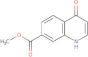 Methyl 4-hydroxyquinoline-7-carboxylate