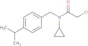 2-Chloro-N-cyclopropyl-N-{[4-(propan-2-yl)phenyl]methyl}acetamide