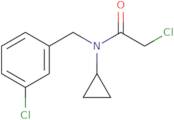 2-Chloro-N-[(3-chlorophenyl)methyl]-N-cyclopropylacetamide