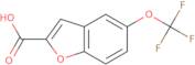 5-(Trifluoromethoxy)benzofuran-2-carboxylic acid