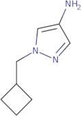1-(Cyclobutylmethyl)-1H-pyrazol-4-amine