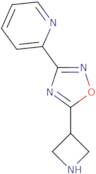 5-(Azetidin-3-yl)-3-pyridin-2-yl-1,2,4-oxadiazole