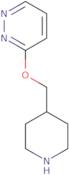 3-(Piperidin-4-ylmethoxy)pyridazine