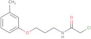2-Chloro-N-[3-(3-methylphenoxy)propyl]acetamide