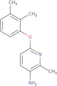 6-(2,3-Dimethylphenoxy)-2-methylpyridin-3-amine