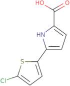 5-(5-Chlorothiophen-2-yl)-1H-pyrrole-2-carboxylic acid