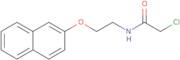 2-Chloro-N-[2-(naphthalen-2-yloxy)ethyl]acetamide