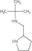 tert-Butyl[(pyrrolidin-2-yl)methyl]amine