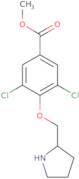 5-Chloro-2,4-dihydro-3H-1,2,4-triazol-3-one