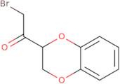 2-Bromo-1-(2,3-dihydro-1,4-benzodioxin-2-yl)ethan-1-one