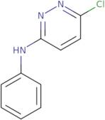 6-Chloro-N-phenylpyridazin-3-amine