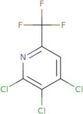 2-Amino-6-acetamidohexanoic acid