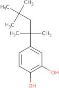 4-(2,4,4-Trimethylpentan-2-yl)benzene-1,2-diol
