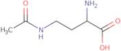 (2S)-4-(Acetylamino)-2-aminobutanoic acid