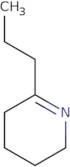 6-Propyl-2,3,4,5-tetrahydropyridine