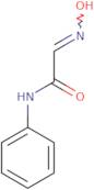 2-(N-Hydroxyimino)-N-phenylacetamide