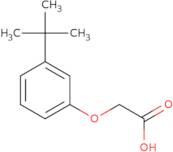 2-(3-tert-Butylphenoxy)acetic acid
