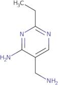(2-Ethyl-4-imino-1,4-dihydropyrimidin-5-yl)methanamine