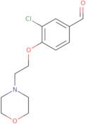 3-Chloro-4-[2-(morpholin-4-yl)ethoxy]benzaldehyde