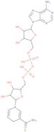 Thionicotinamide Adenine Dinucleotide Disodium Salt reduced form