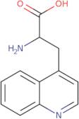 2-Amino-3-quinolin-4-yl-propionic acid