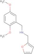 (2,5-Dimethoxy-benzyl)-furan-2-ylmethyl-amine